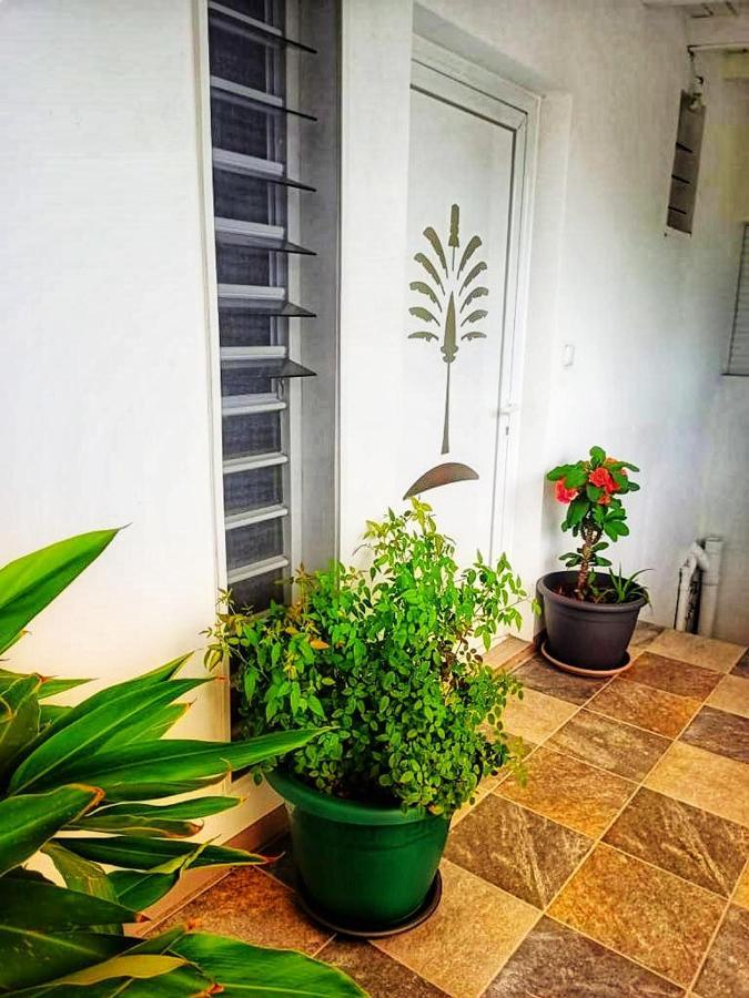 Appartement Le Balisier à Saint-Francois  Extérieur photo